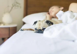 Por que sentimos que estamos caindo ao pegar no sono?